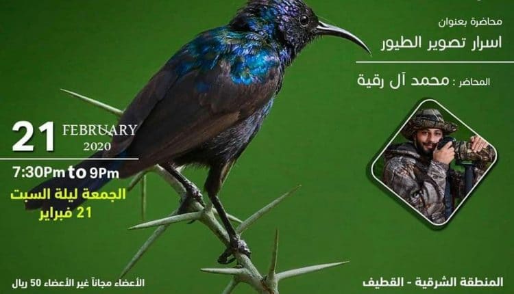 اسرار تصوير الطيور