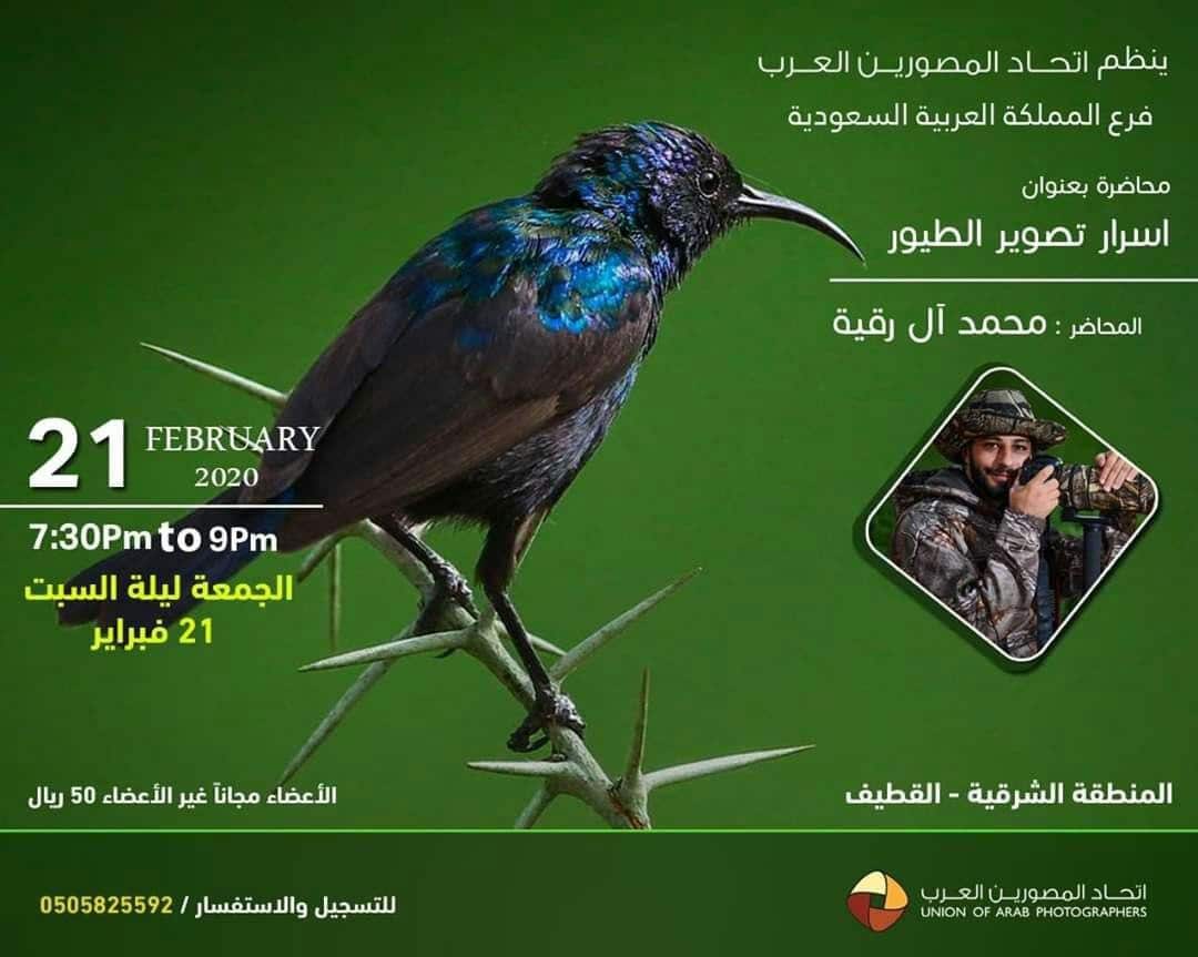 اسرار تصوير الطيور