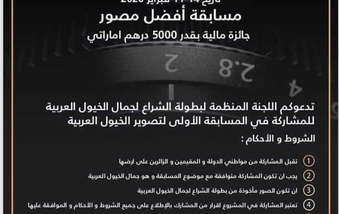 مسابقة تصوير لجمال الخيول العربية